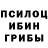 Галлюциногенные грибы мицелий Kristijan Corak
