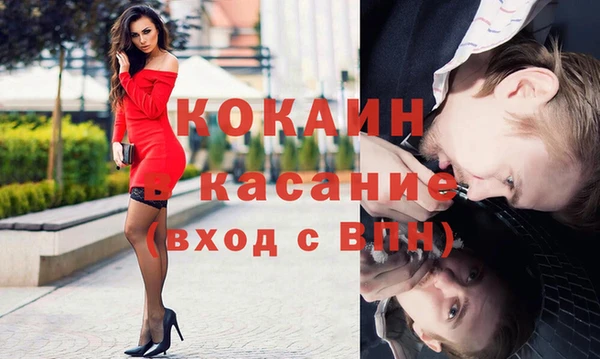 твердый Алзамай