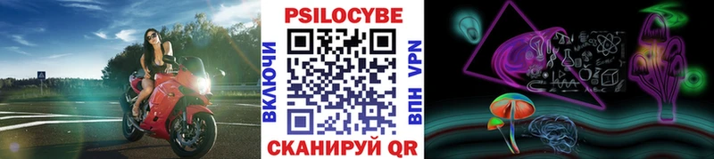 Галлюциногенные грибы Psilocybe где продают Мензелинск